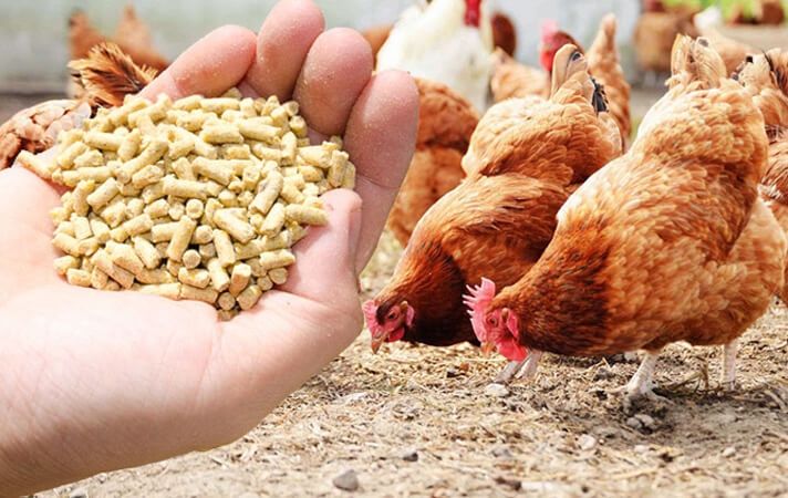 Poultry Integrators