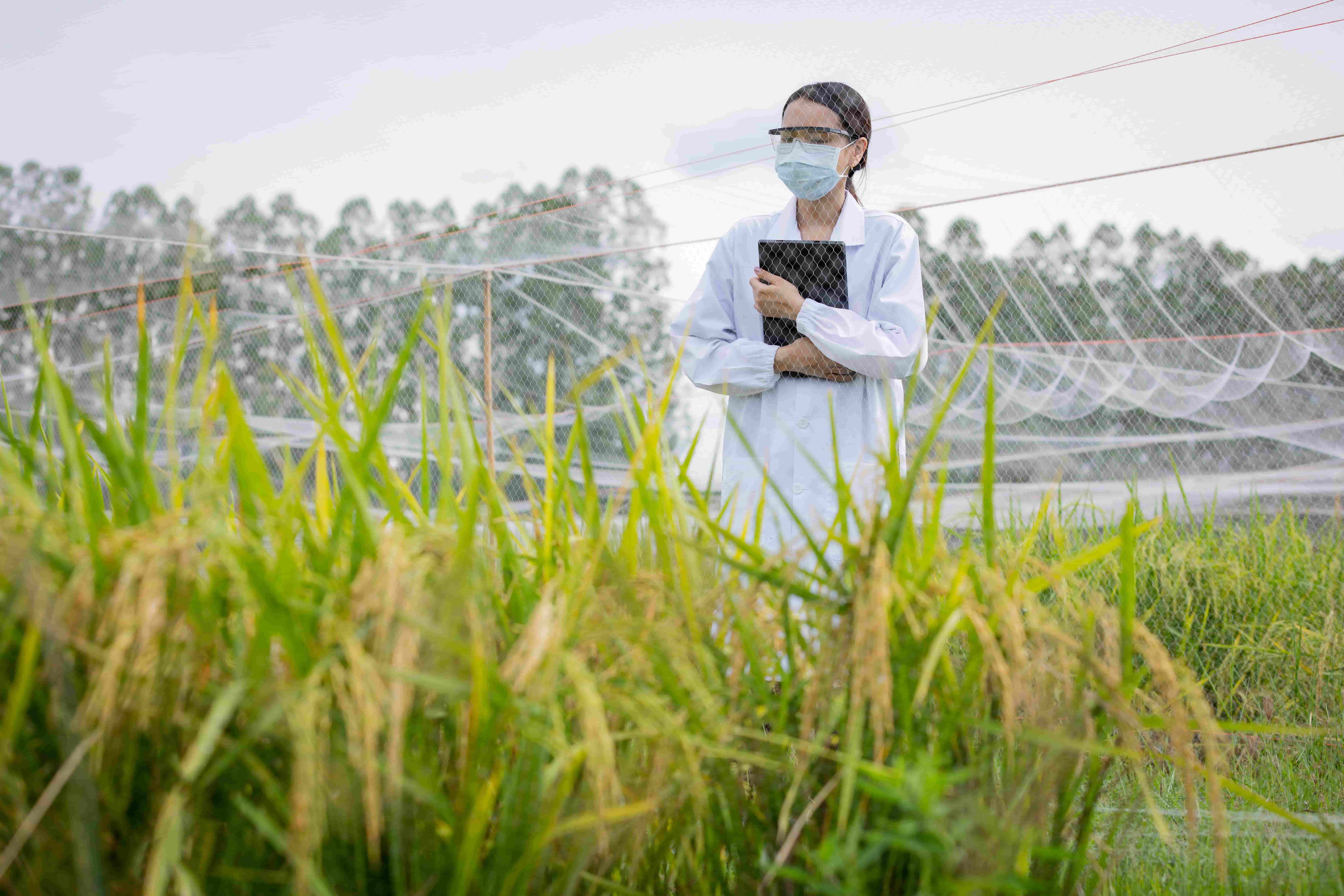 Agronomy Services