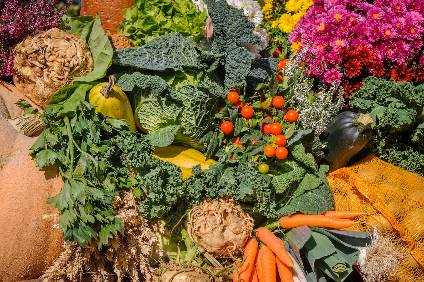 Vegetables